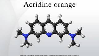 Acridine orange [upl. by Aeret419]