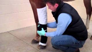 First Aid Bandaging for Your Horses Leg [upl. by Adeline]