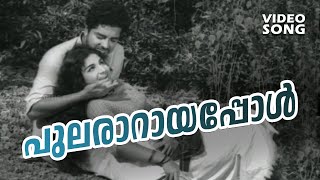 PularaaraayappolSuper Hit Malayalam Song MooladhanamFtPrem NazeerJayabharathi Susheela Hits [upl. by Ozne250]