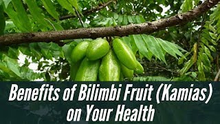 Health Benefits of Bilimbi Fruit Kamias  After Watching This You Will Surely Eat Kamias Every Day [upl. by Niknar]