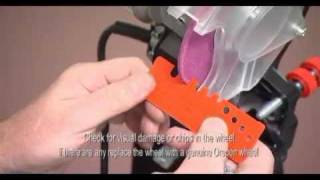 How to Sharpen Chain Saw Chains Oregon Chainsaw Sharpening Guide [upl. by Aztilay]