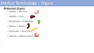 Medical Terminology  The Basics  Lesson 1 [upl. by Orgalim488]