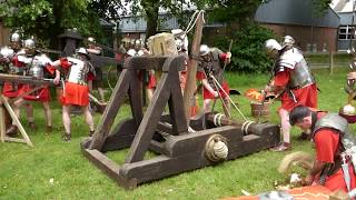 Ermine Street Guard at Colchester Sun 11th June 2017 [upl. by Gilges]