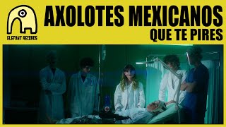 AXOLOTES MEXICANOS  Que Te Pires Official [upl. by Krenek205]