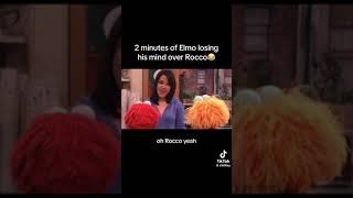 2 minutes of Elmo losing his mind over Rocco 😂 [upl. by Accebar]