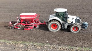 CLAAS AXION 830 mit eine HORSCH Pronto 3 DC Drille  Roggen drillen  4K [upl. by Treulich346]