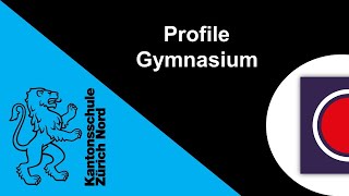 KZN «Profile Gymnasium» [upl. by Ribal352]