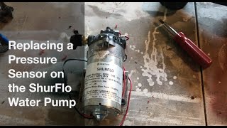 DON’T THROW IT AWAY How to replace a Pressure Sensor ShurFlo Water Pump Waterfed Window Cleaning [upl. by Clementine]