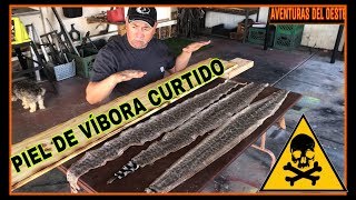 CURTIDO DE PIEL DE VÍBORA 2 [upl. by Hutchins]