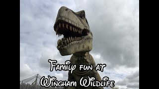 Family fun at Wingham Wildlife Park Part 1 [upl. by Eveam]