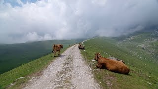 Crossing Picos de Europa  Indoor Cycling Training [upl. by Anayhd]