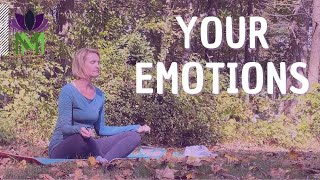 20 Minute Meditation for Acceptance and Gratitude  Beginner Meditation Series  Mindful Movement [upl. by Romilda]