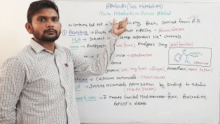 AlkaloidsProto Alkaloids and Pseudo Alkaloids in plantsCSIR NET Part2 in hindi [upl. by Ahsiak497]