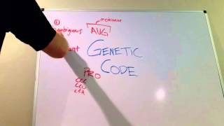 Four Features of the Genetic Code [upl. by Ellirpa]