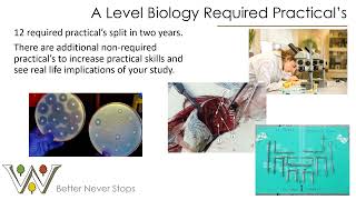 KS5 Options Evening Presentation Biology [upl. by Levona]