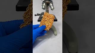 Kacha Noodles Under a Microscope 👀 shorts [upl. by Brom]