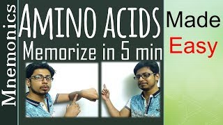 Memorize amino acids  amino acid easy tricks to remember [upl. by Ailahs]