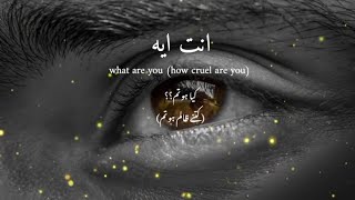 Enta eih  Arabic song  Lyric with Urdu  English  Slowed reverb [upl. by Pattie728]