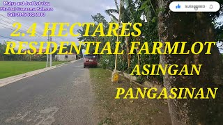 vlog 527 RESIDENTIAL RICELANDFARMLOT IN ASINGAN PANGASINAN 24HAS 700 Per sqm [upl. by Rumpf]