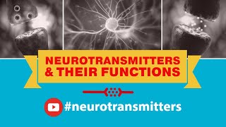 Neurotransmitters And Their Functions Dopamine Glutamate Serotonin Norepinephrine Epinephrine [upl. by Rehctelf205]