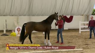 KN 17 v Diamo Gold  Rubin Royal [upl. by Elnora]