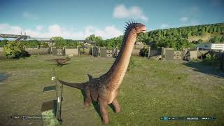 Jurassic World Evolution 2 Alamosaurus vs Feathered Tyrannosaurus Rex [upl. by Torhert]