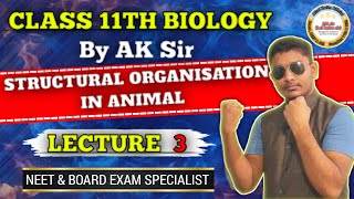 Structural organisation in Animal lecture 3  Class 11th Biology By ak sir AfzalKarimOfficial [upl. by Liggitt]