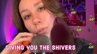 ASMR  giving you the shivers 🕷️✨🐍 spiders crawling up your back [upl. by Archibaldo]