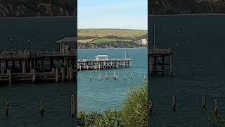 People on the pier Swanage Dorset the Knotman [upl. by Orly438]