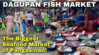 Dagupan Fish Market Tour 2024  Pangasinan’s Fresh Seafood and Amazing Prices  Philippines [upl. by Nnyladnarb474]