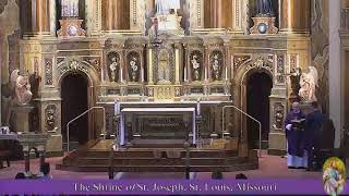 Holy Mass from the Shrine of St Joseph  Sunday [upl. by Baal736]