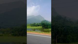 Way to Anuradhapura 2🍃srilanka charming road trip nature greenish shorts [upl. by Yelik]