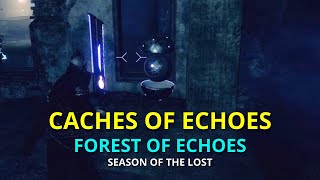 Caches of Echoes  Forest of Echoes  Destiny 2 PS5 [upl. by Yrtsed675]