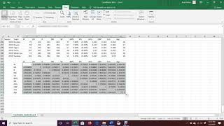 Correlation Matrix in Excel [upl. by Yevreh]