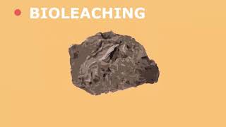 Future Extraction Methods Bioleaching and Phytomining [upl. by Hait]