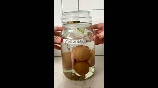 Salted eggs  鹹蛋 How to make salted eggs at home  2 week recipe [upl. by Nikal]