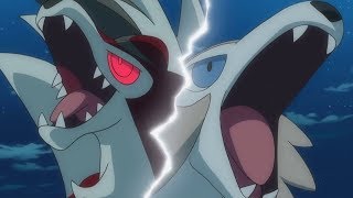 Lycanroc and rockruff AMV  Courtesy call [upl. by Einna]