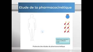 Modélisation et paramètres pharmacocinétiques Partie 1PHARMACOLOGIE [upl. by Eimareg]