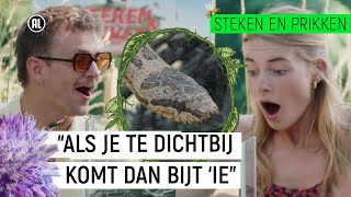 GEBETEN DOOR EEN SLANG  Steken en Prikken  S3 9  NPO Zapp [upl. by Enyamrahc957]