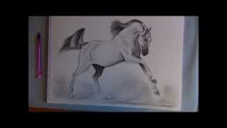 How to Draw a Galloping Bay Horse 16th January 2012 [upl. by Berhley]