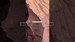 Antelope Flash Flood antelopecanyon flashflood extreamweather flood canyon slotcanyon watet [upl. by Nauqel]