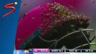 South Africa vs Sri Lanka  Bees Swarm Cricket Field During Pink ODI  SuperSport [upl. by Valina9]