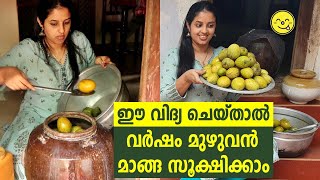 എങ്ങനെ മാങ്ങ കേട് വരാതെ ഒരു കൊല്ലം മുഴുവൻ സൂക്ഷിക്കാം  How to Store amp preserve mango for 1 Year [upl. by Belac]