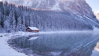 Beautiful Winter Wonderland in Banff Lake Louise Rocky Mountains after Snowfall [upl. by Kceb]