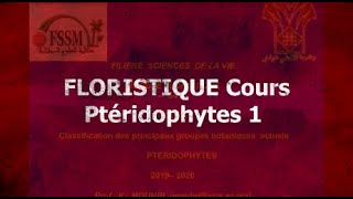 FLORISTIQUE Cours Ptéridophytes 1 [upl. by Ahsiak]