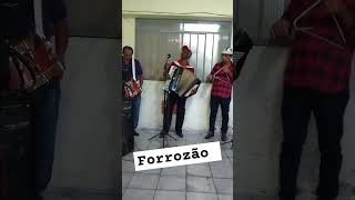 Forrozão show toca muito 🪗👏💯😱forrozão forró2024 forrozinho forrozeiros musica viraliza [upl. by Auqinahs]