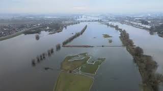 Hoog water Zutphen december 2023 [upl. by Misty]