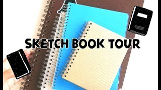 Sketchbook Tour 2015 to 2017  Doodles by Sarah [upl. by Araic567]