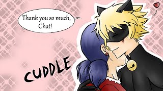 quotLadynoir Fancomicquot Miraculous Ladybug Comics  Comics Dub Compilation [upl. by Borries]