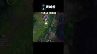 택이왕  도주왕 택이왕 shorts lol 롤 카르마 leagueoflegends 하이라이트 매드무비 리그오브레전드 원딜 원딜러 다이아 서포터 [upl. by Epotimet]